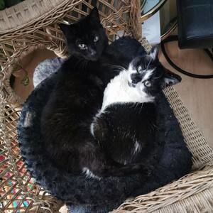 Meet your Posher, Kim